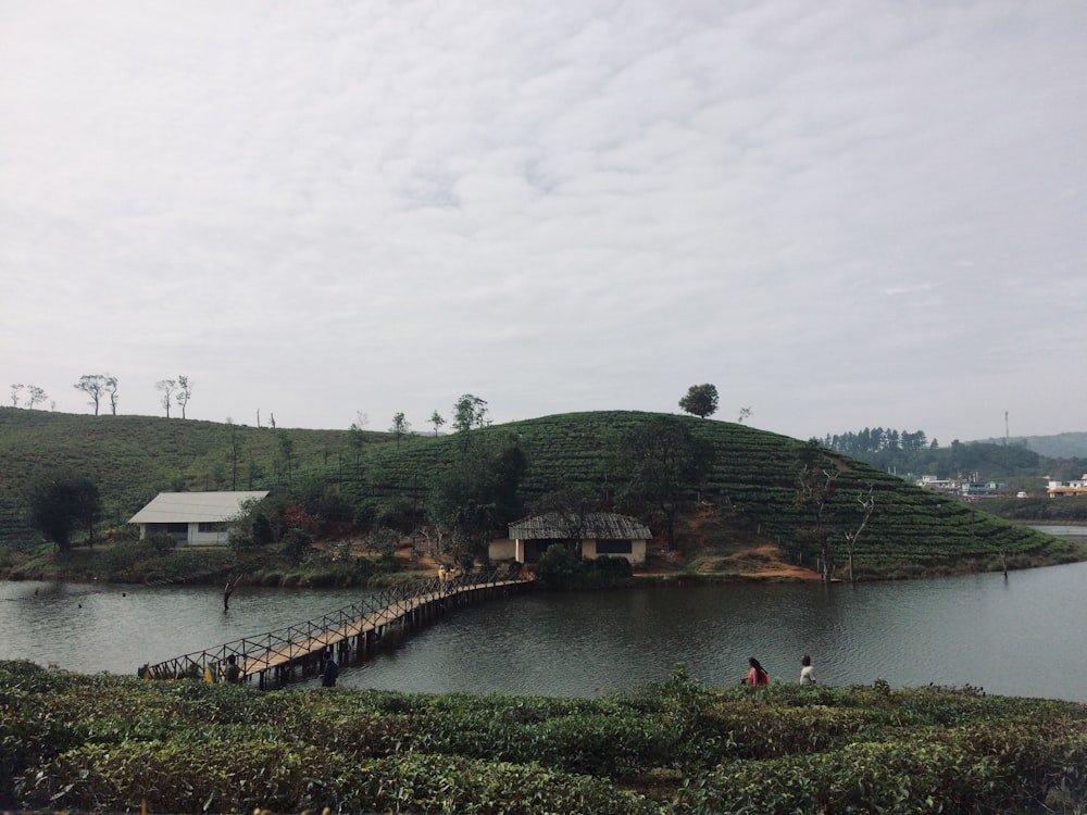 a small wooden bridge over a body of water