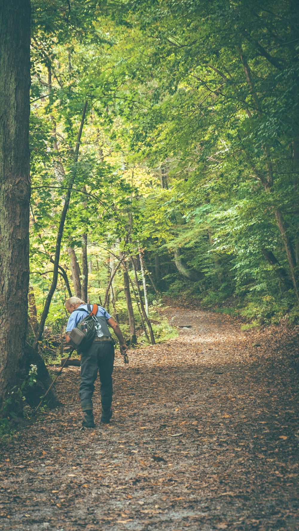 Una persona con uno zaino in spalla che cammina lungo un sentiero nel bosco
