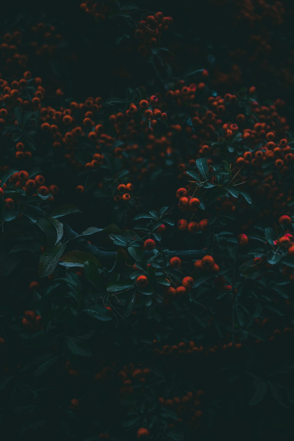 a group of people in a dark room