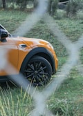 An orange car is partially visible behind a chain-link fence, parked on green grass with a background of trees and shrubs.