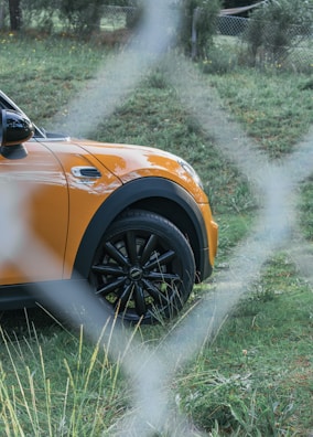An orange car is partially visible behind a chain-link fence, parked on green grass with a background of trees and shrubs.