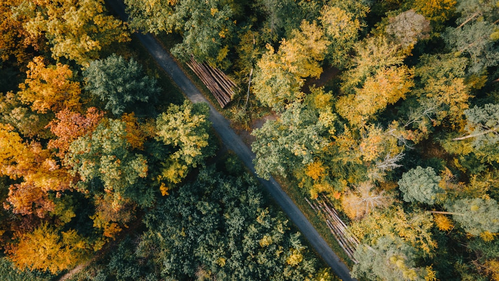 an aerial view of a road surrounded by trees