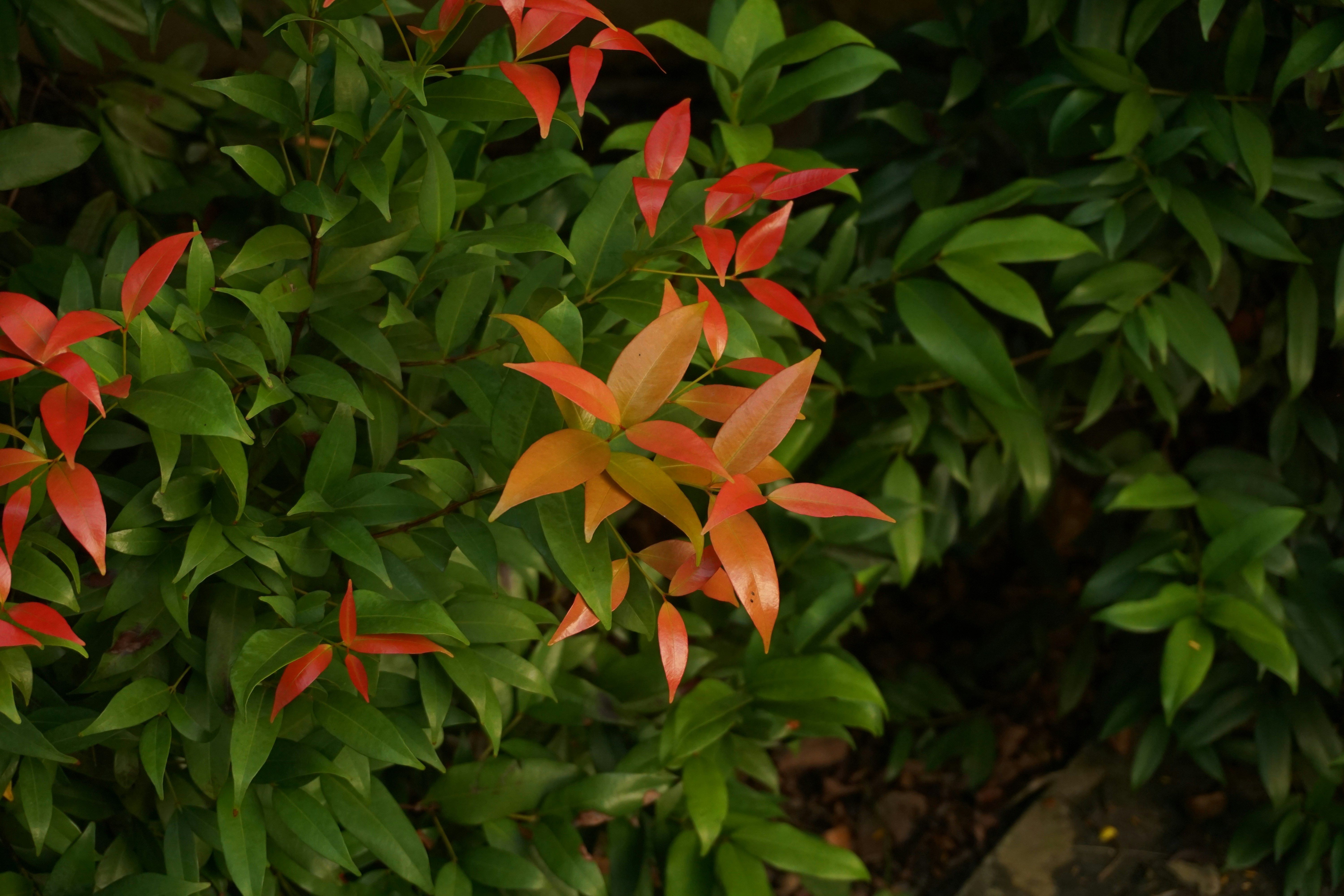 Photo by dontkissmerightnow