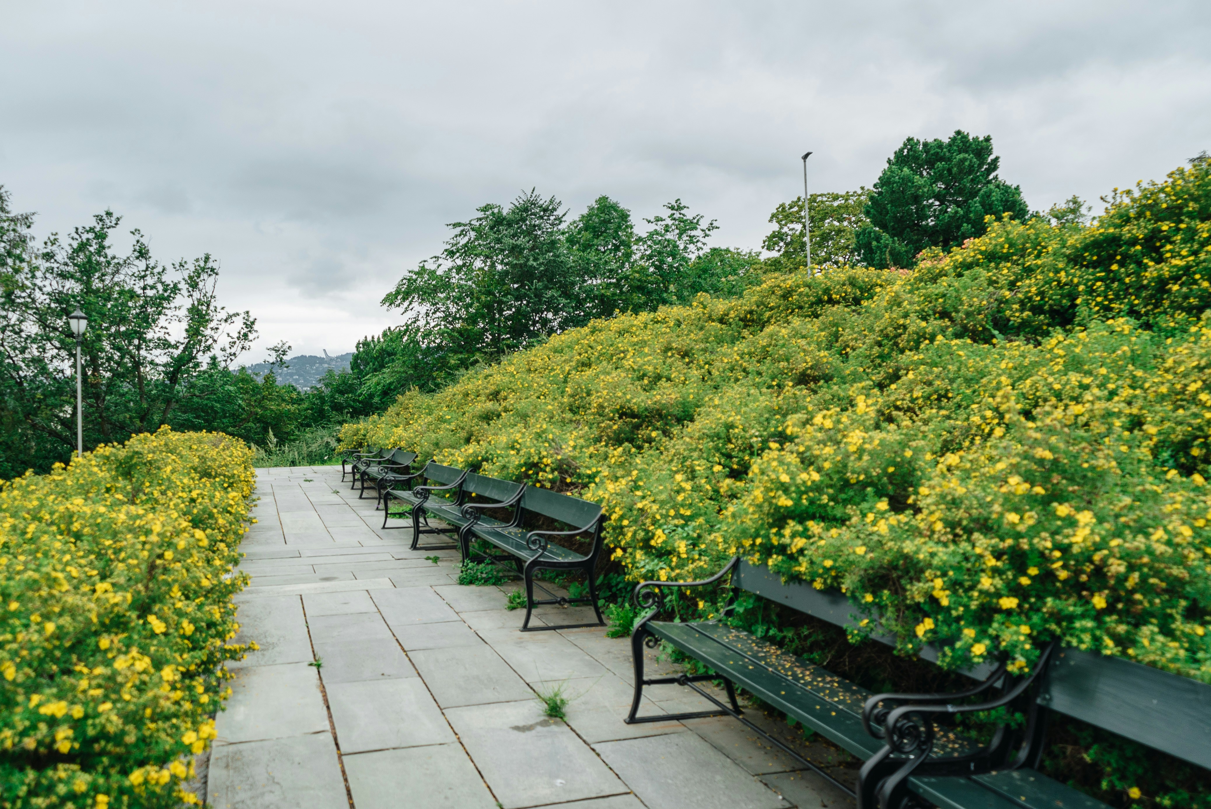 Park Avenue Park