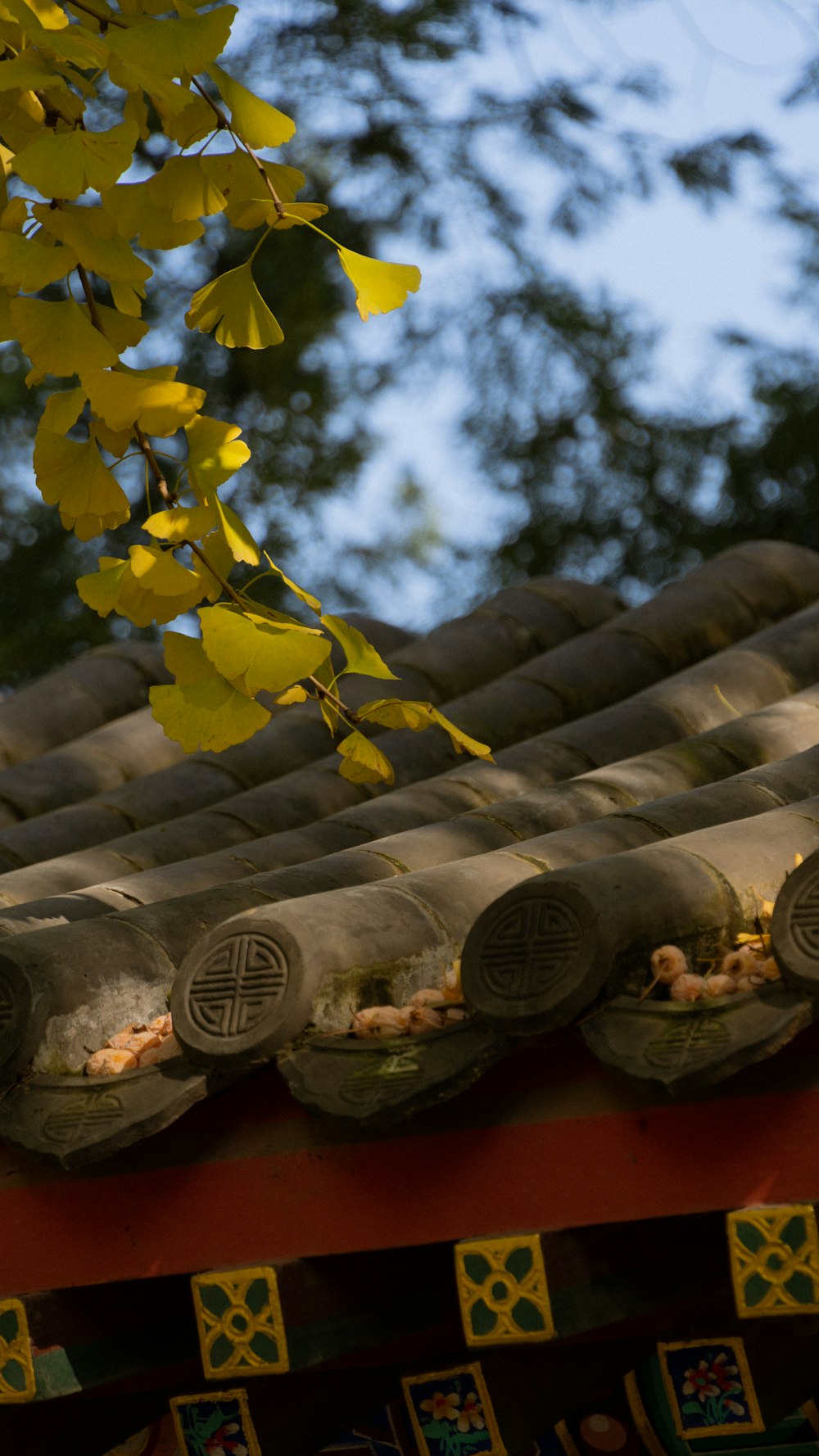 a close up of a roof with a tree in the background