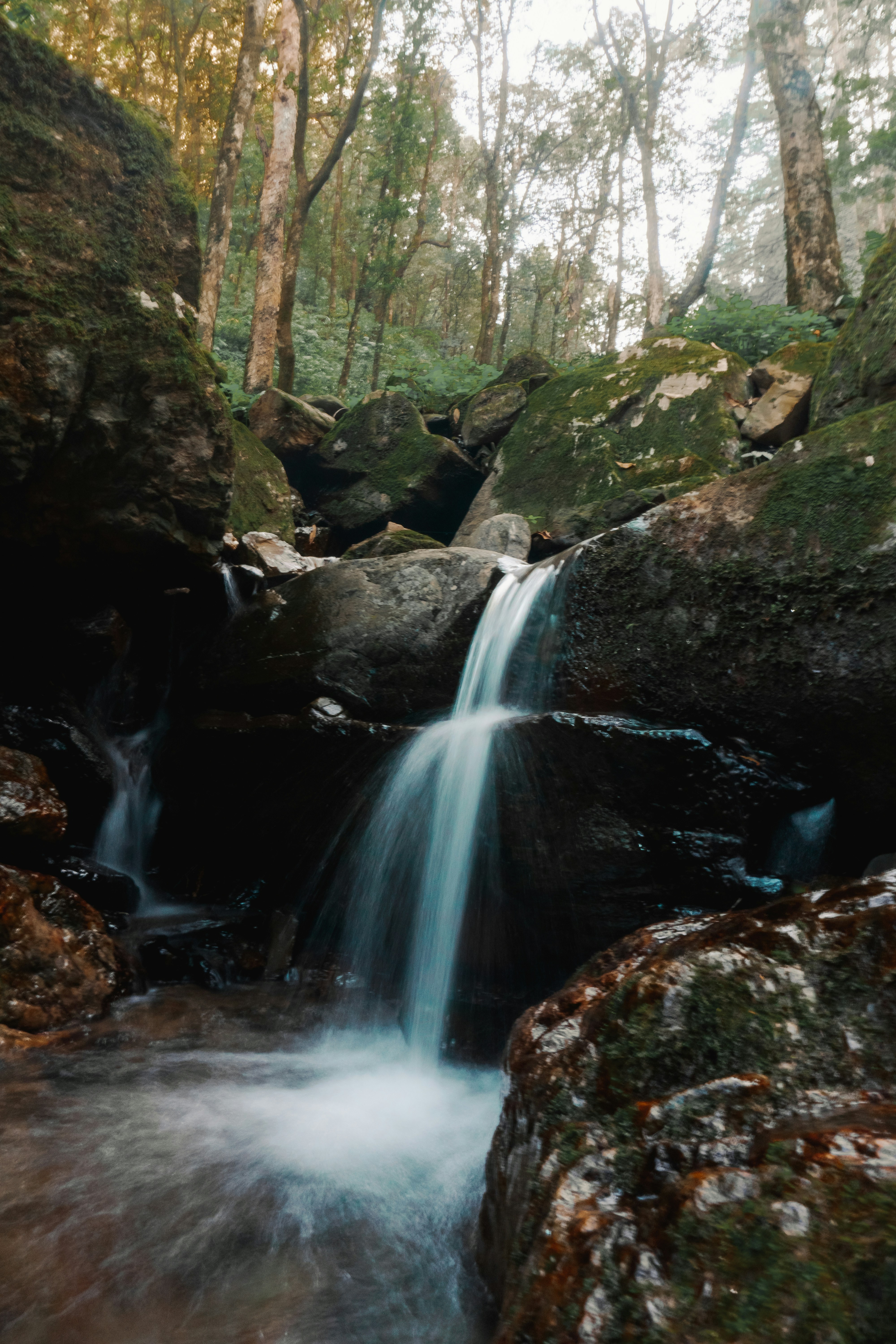 Photo by ashu_dadwal