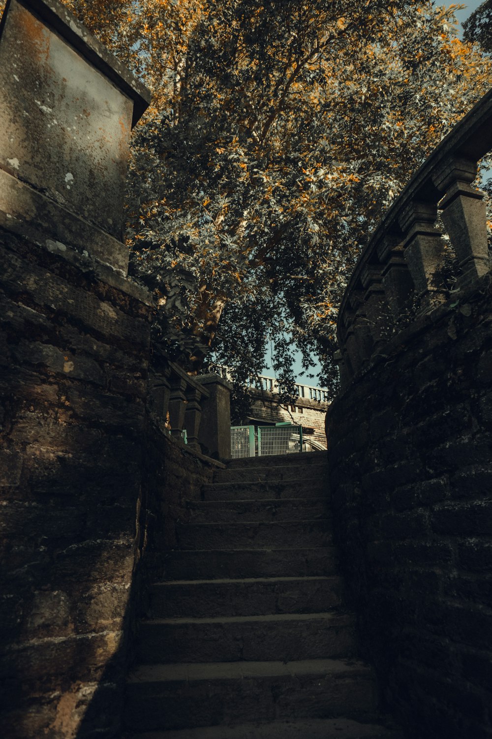 a set of stairs leading up to a tree