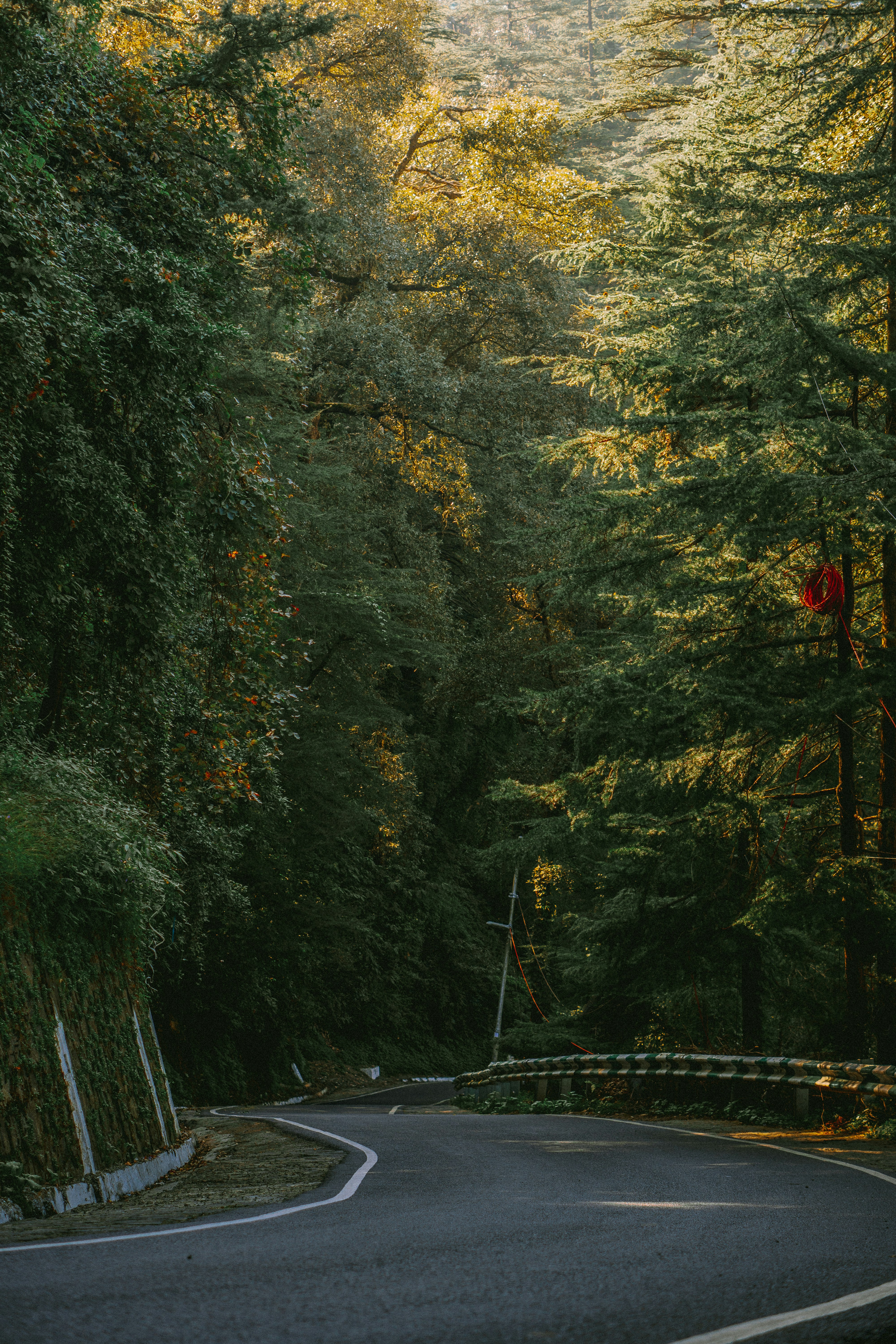 Photo by ashu_dadwal