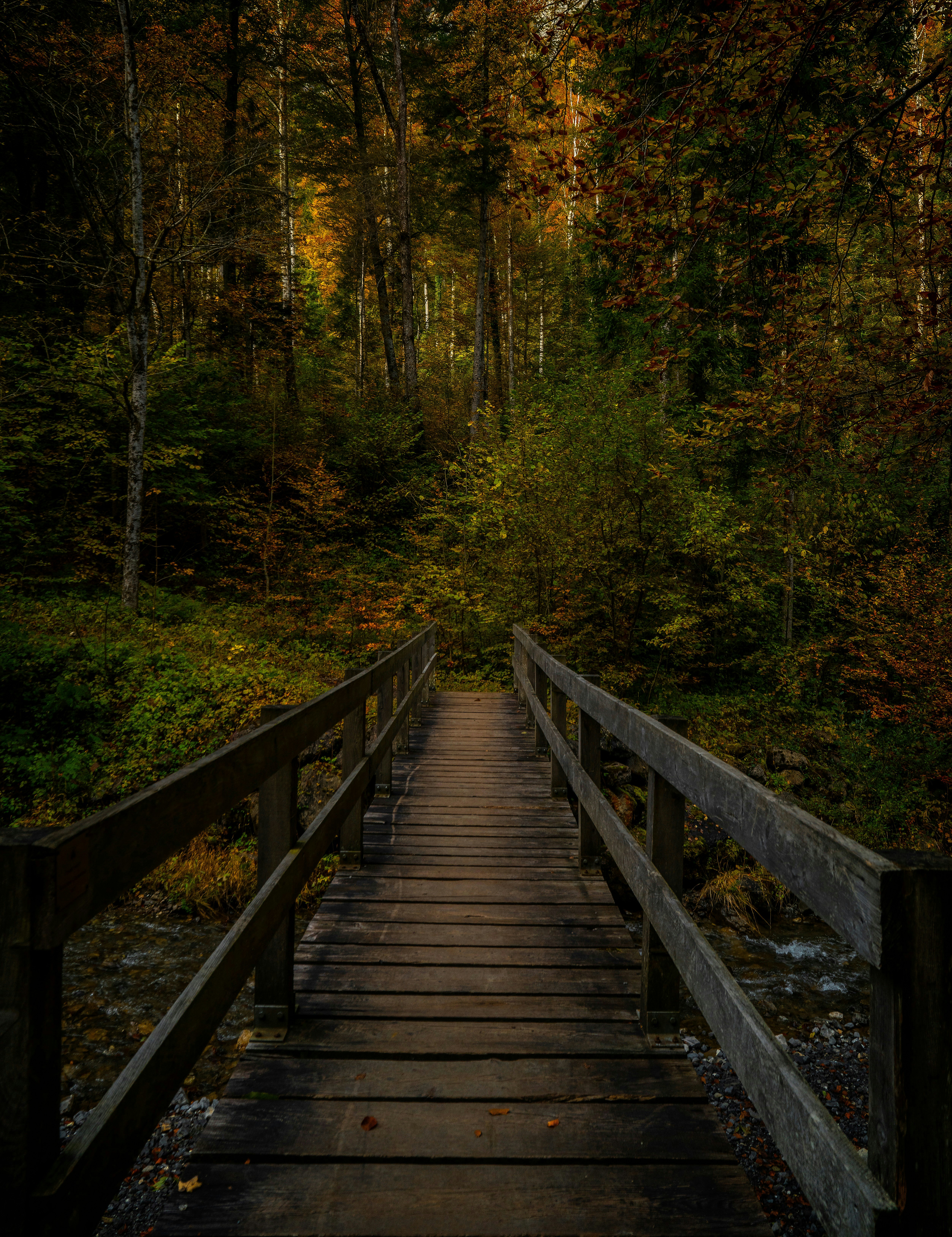 Photo by rgaleriacom