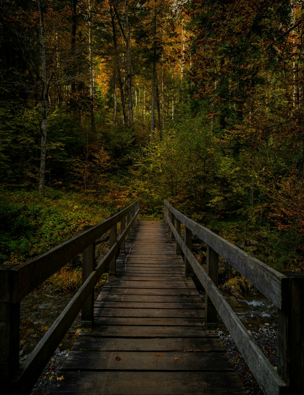 a wooden bridge in the middle of a forest