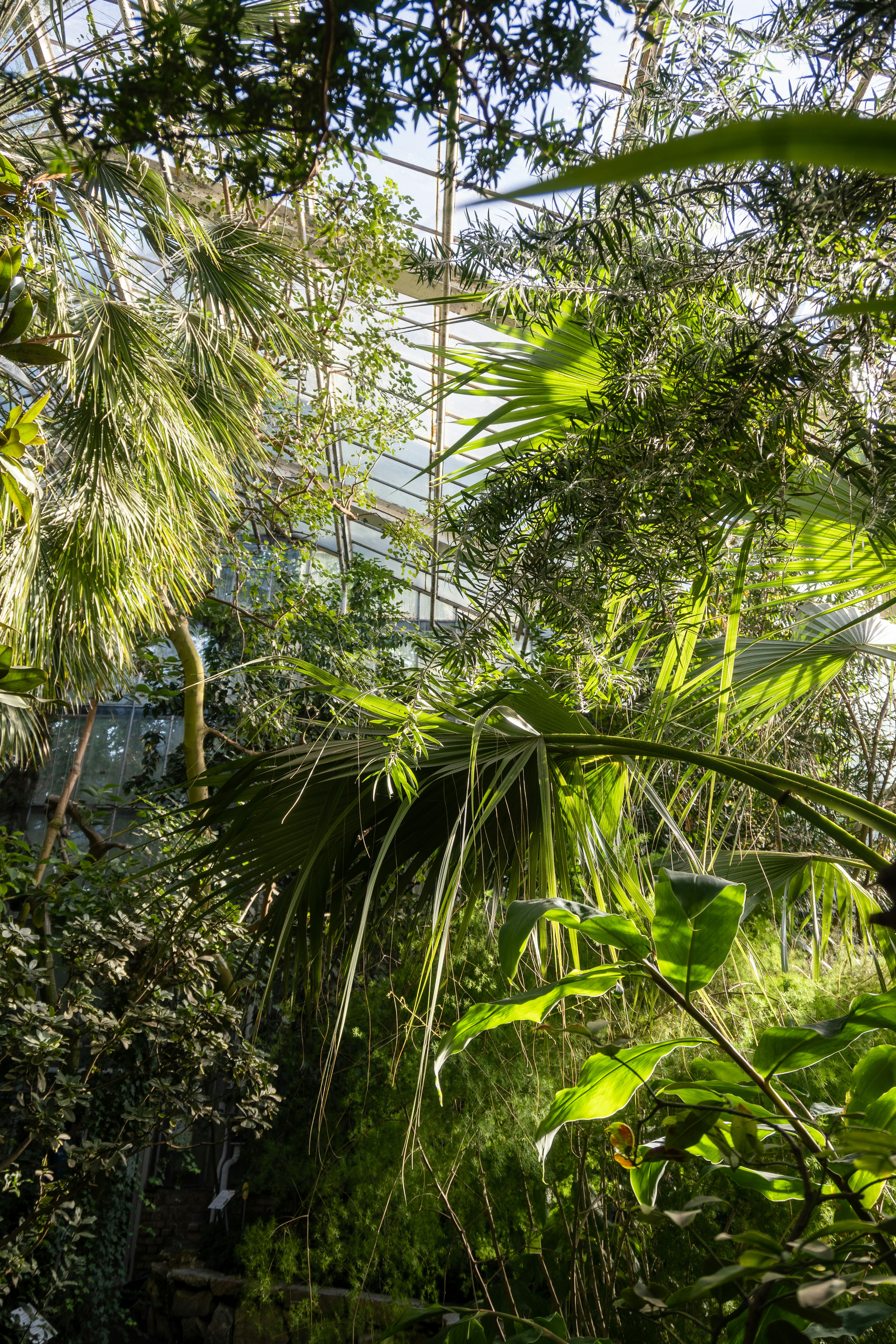 Photo by sylwiabartyzel