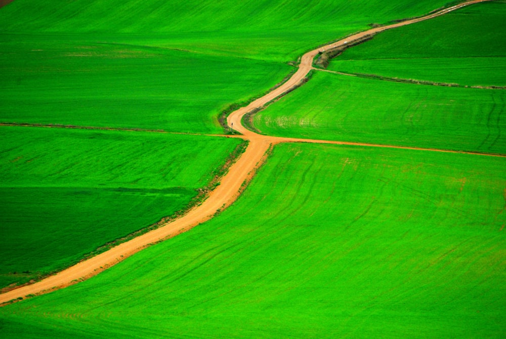 a dirt road in the middle of a green field