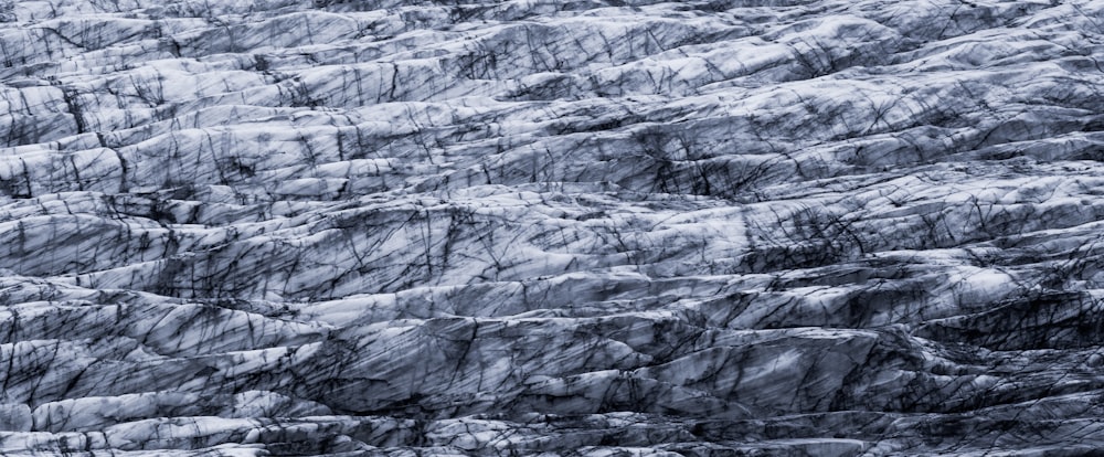 a large mountain covered in snow next to a forest