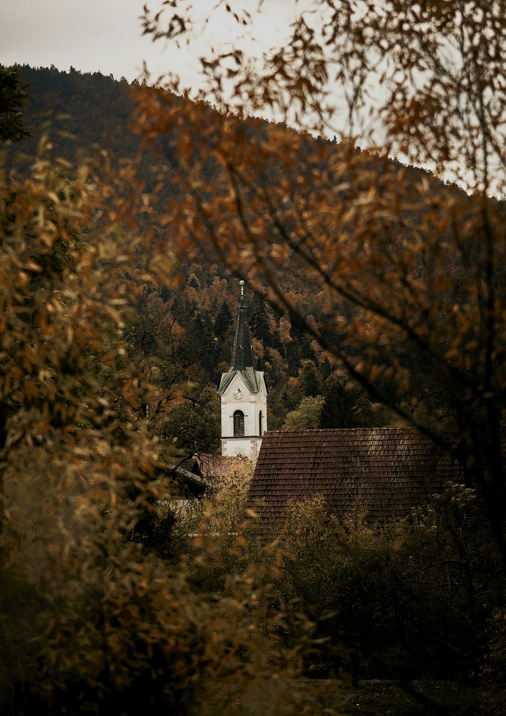 Eine Kirche auf einem Hügel, umgeben von Bäumen