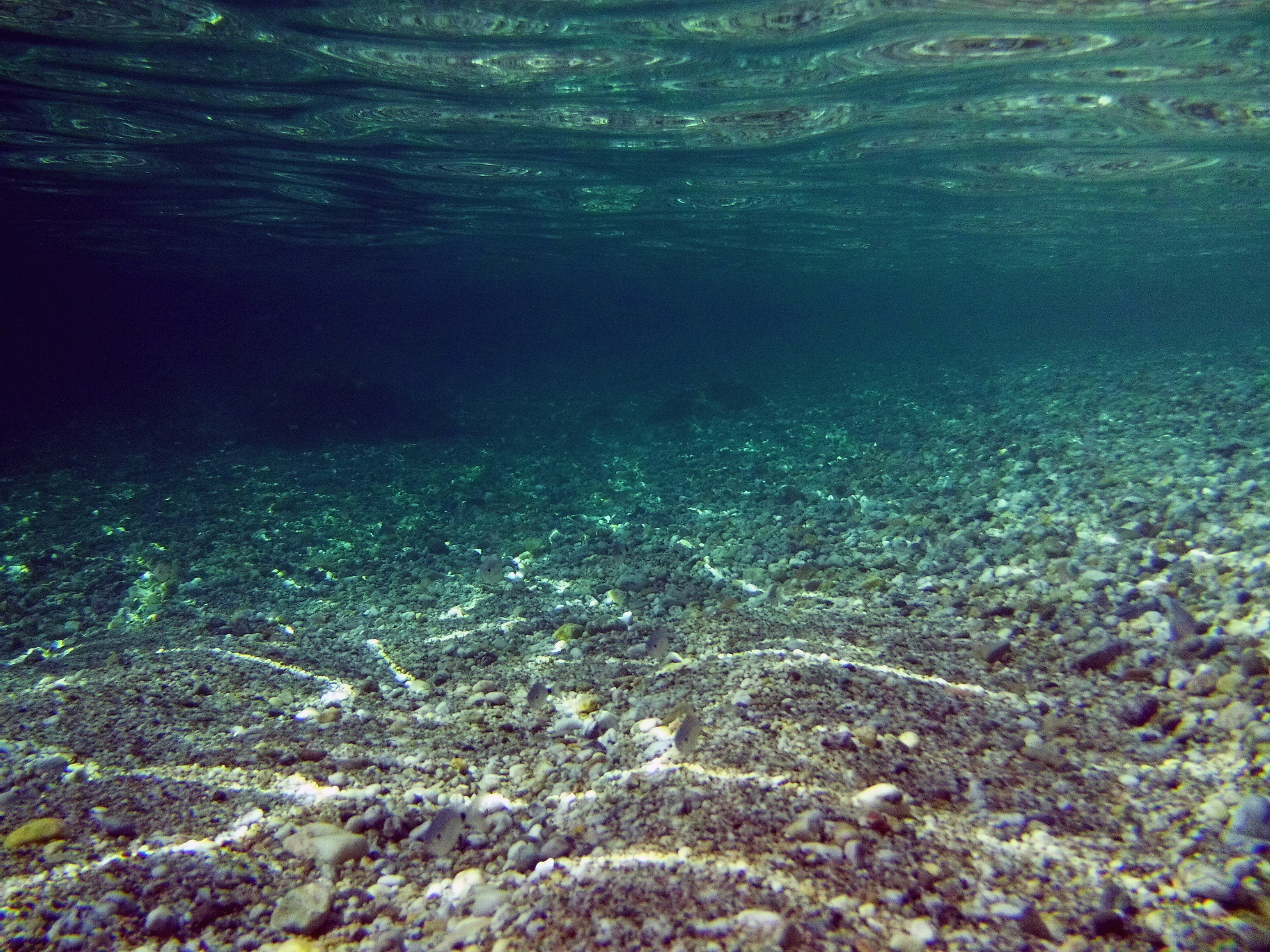 Photo by lucie_dorne