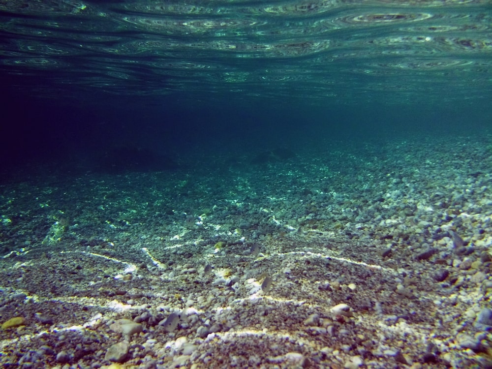 a view of the bottom of a body of water