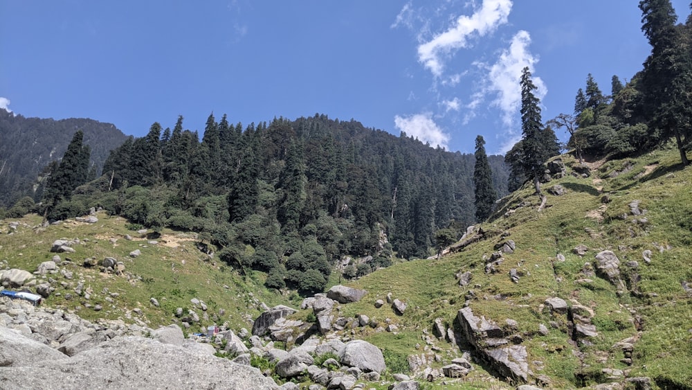 a group of people hiking up the side of a mountain