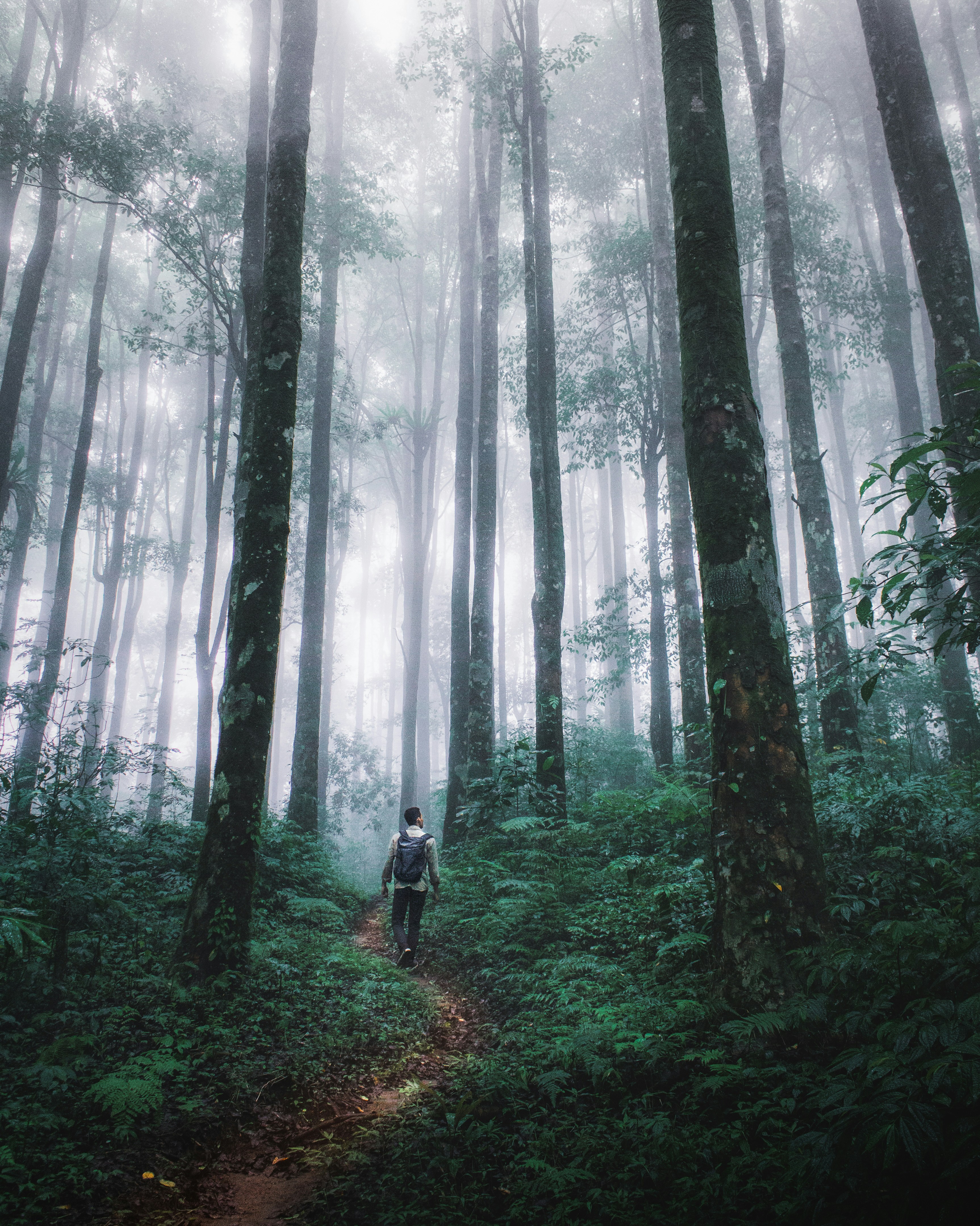 Photo by pandesatvika