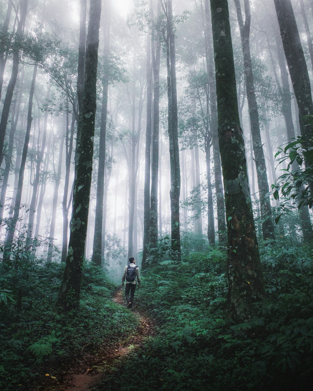 Natural landscape photo spot Bali Tamblingan Lake