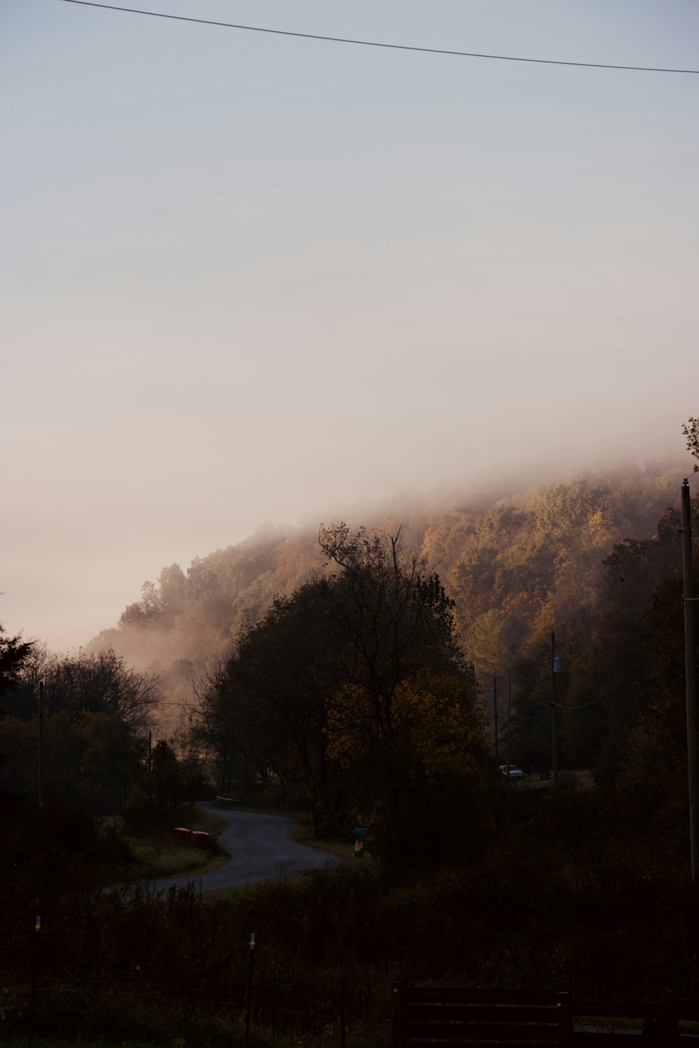a hill covered in fog with trees on the side