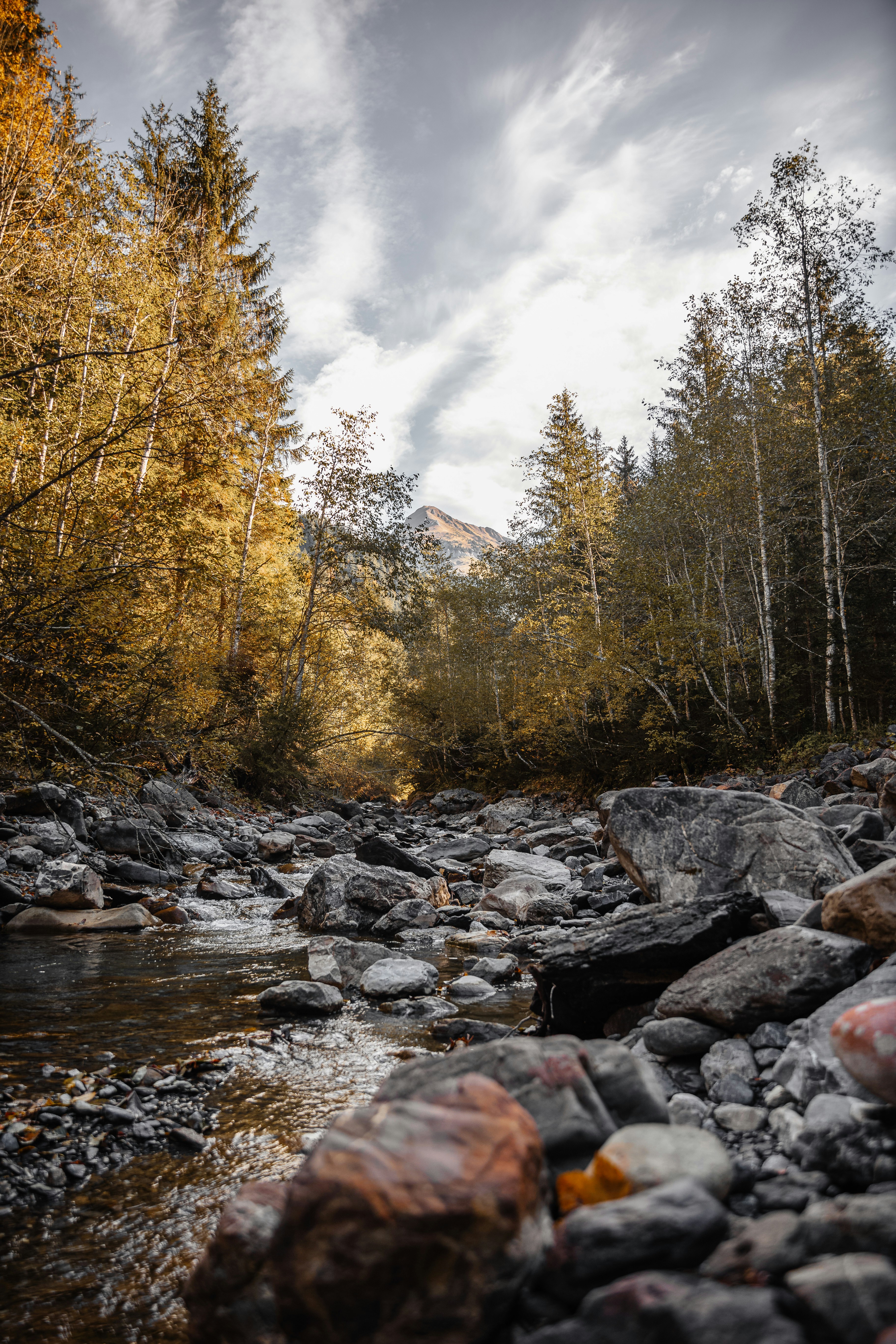 Photo by janoschphotos