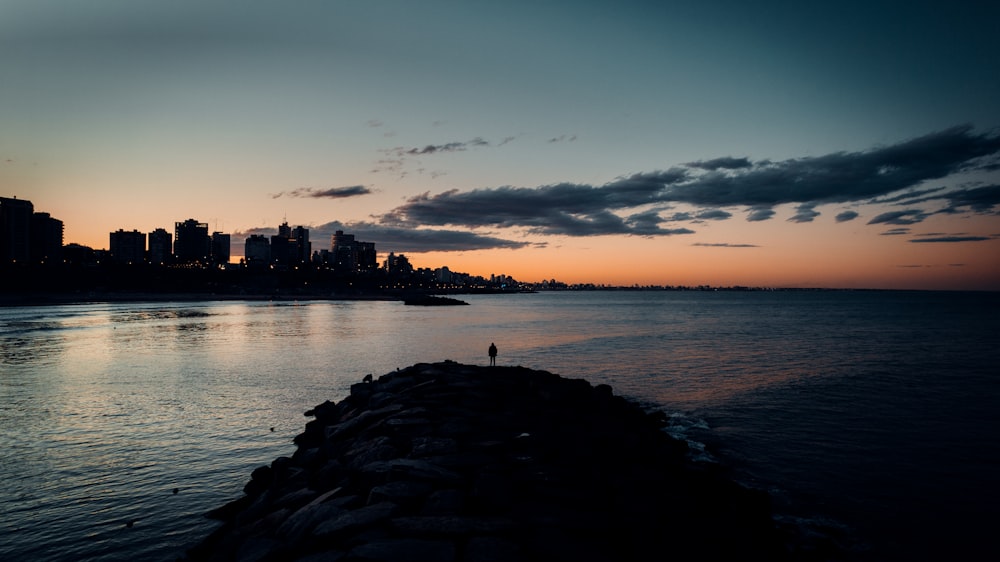 a person standing on the edge of a body of water