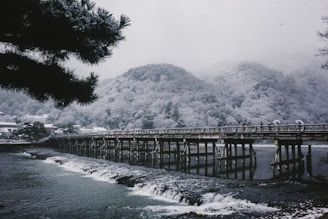 a bridge over a body of water with a mountain in the background