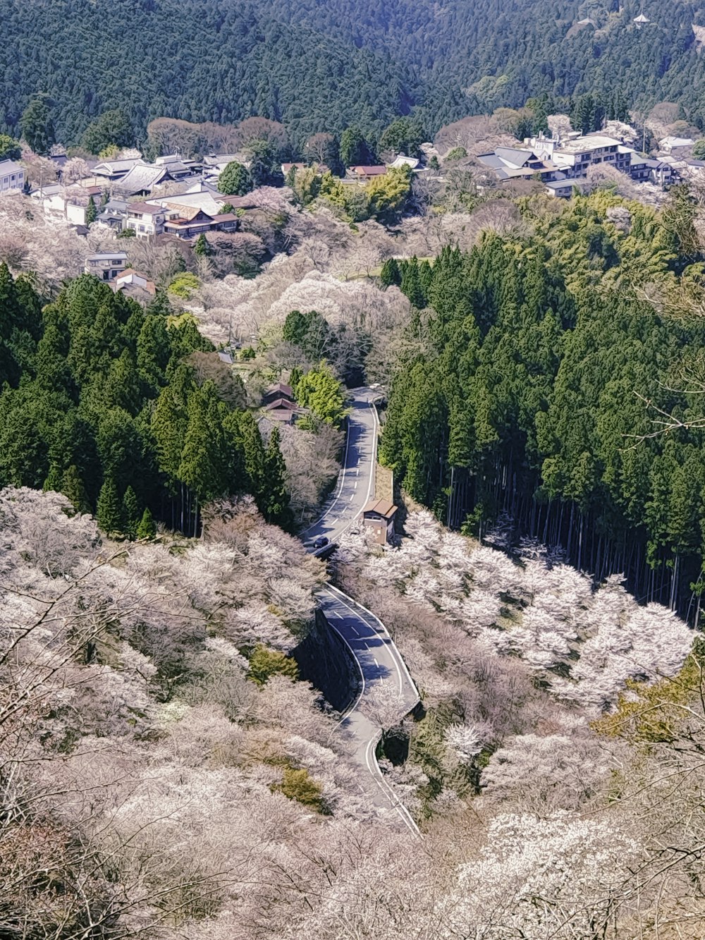 an aerial view of a winding road surrounded by trees