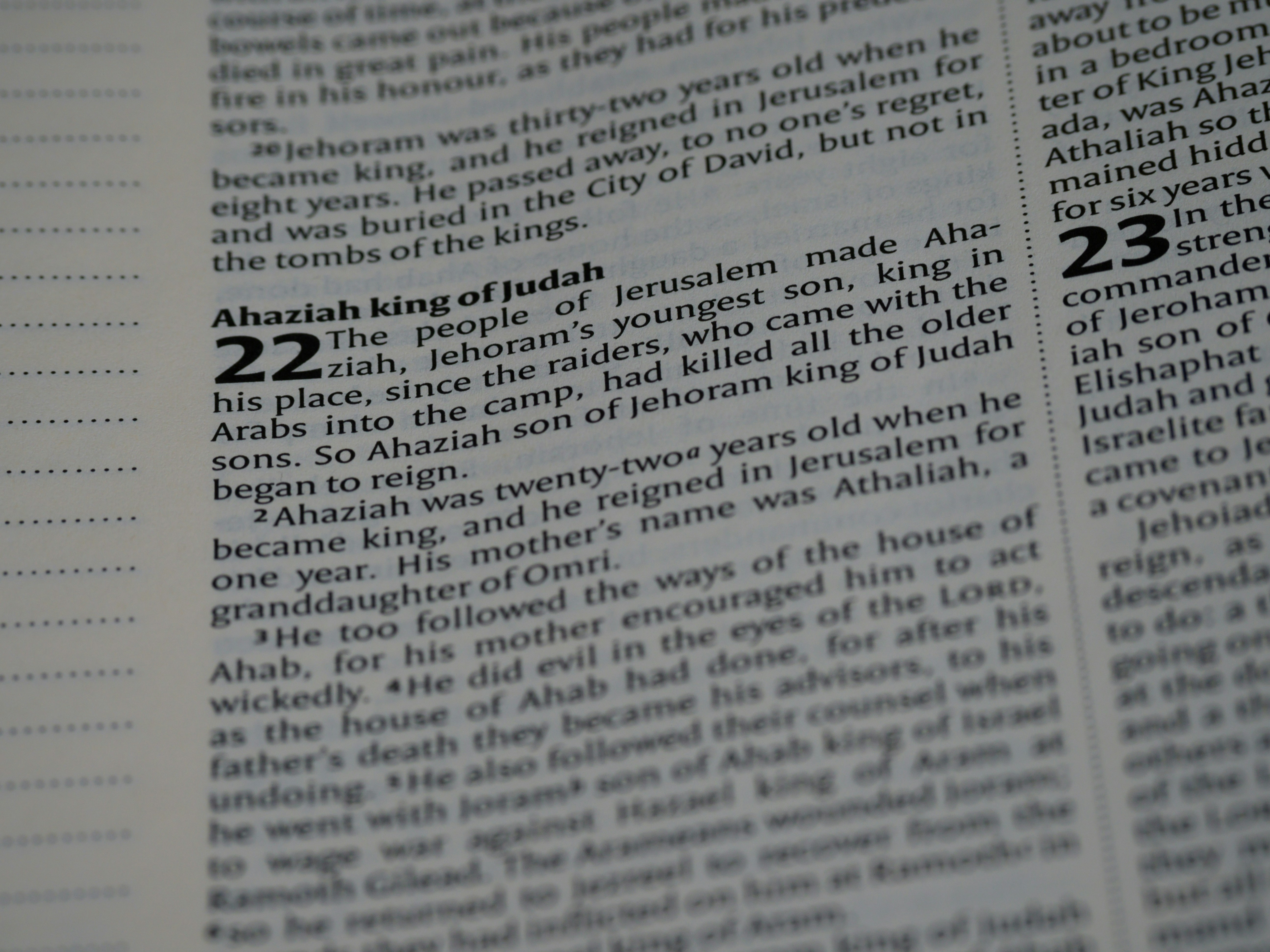 photo-1635000415286-b2af71bb10d4?ixid=M3wxMjA3fDB8MXxzZWFyY2h8Nnx8ZGFmdGFyJTIwc2VsaXI3N3xlbnwwfHx8fDE3NTI5NjMwMjN8MA\u0026ixlib=rb-4.1.0