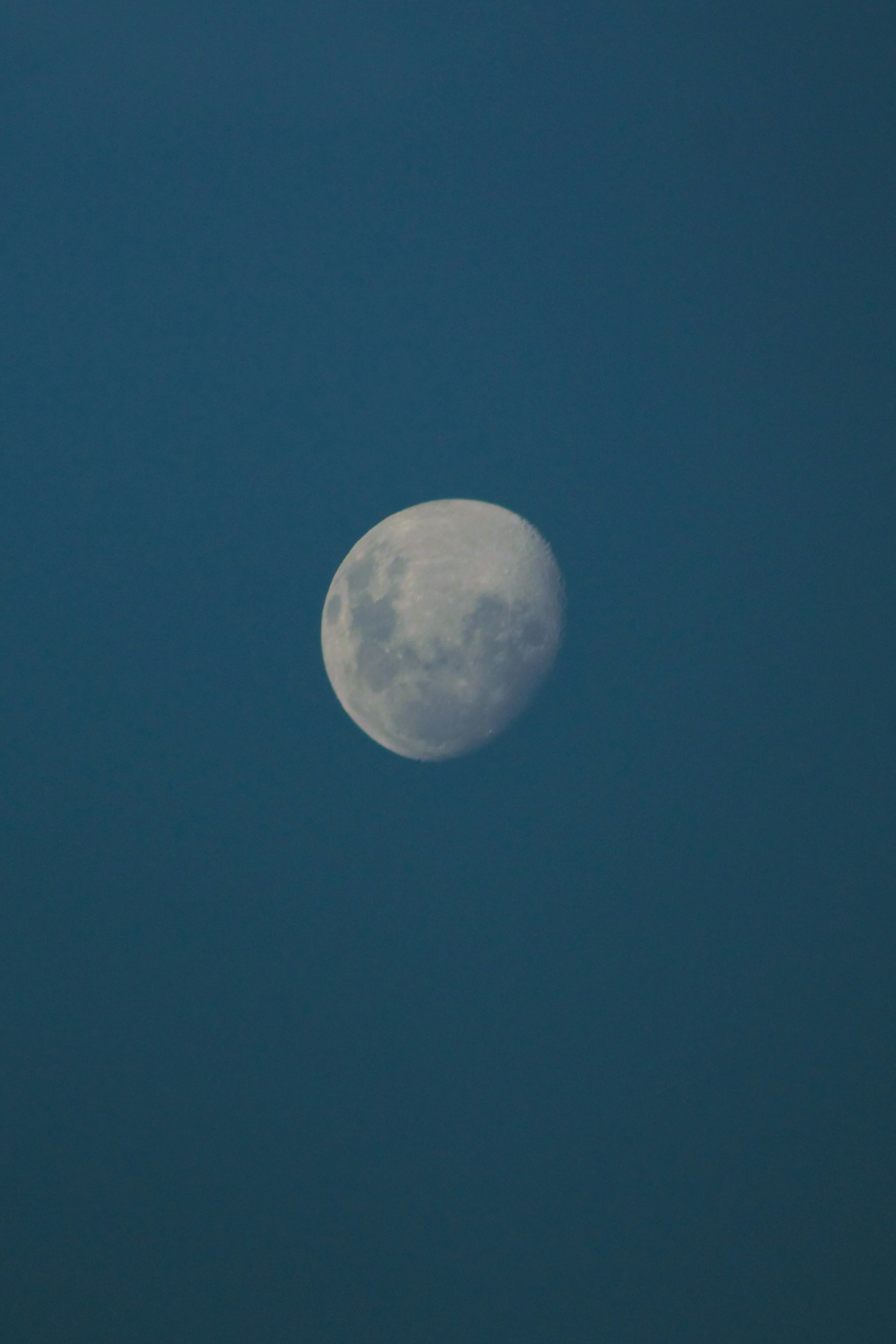 Photo by gladystonefonseca