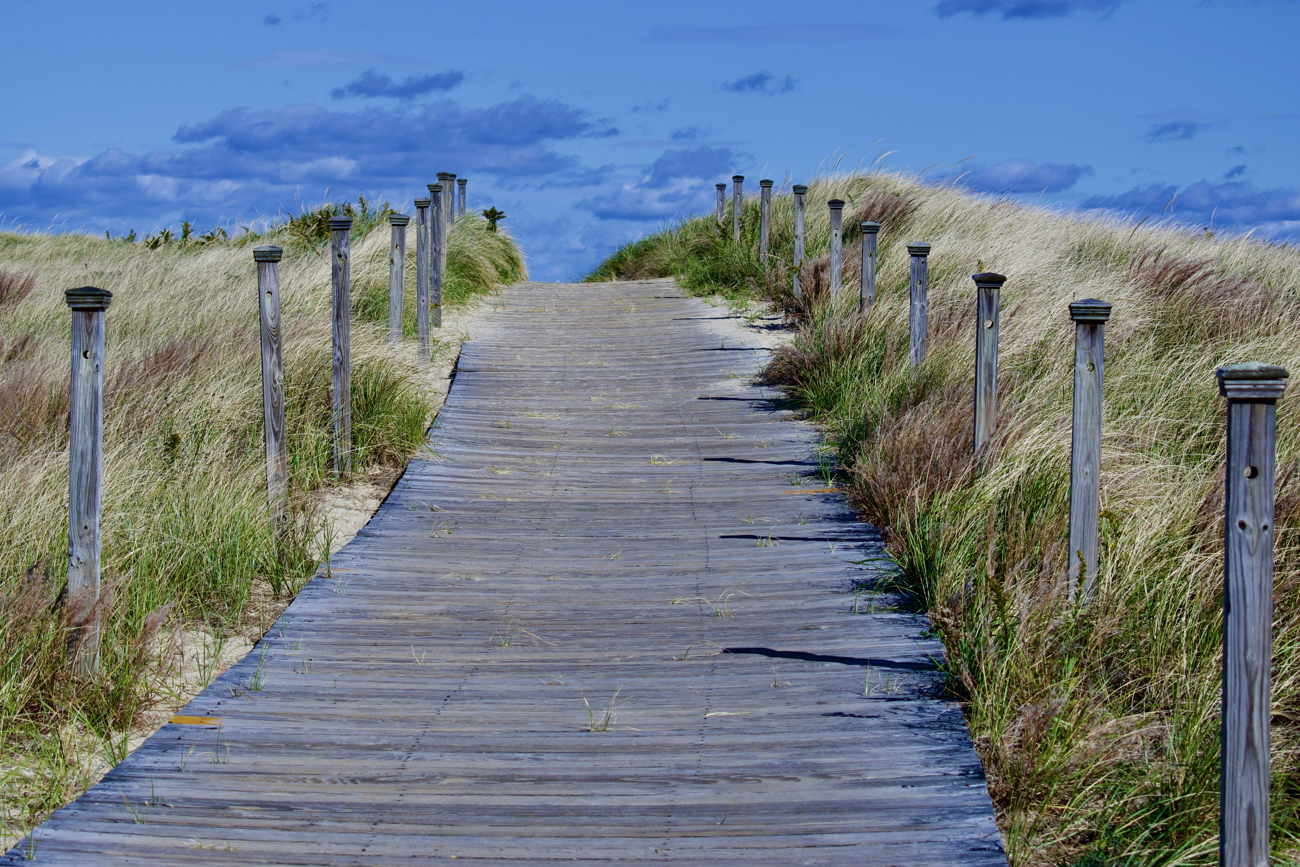 Photo by kellybrookme