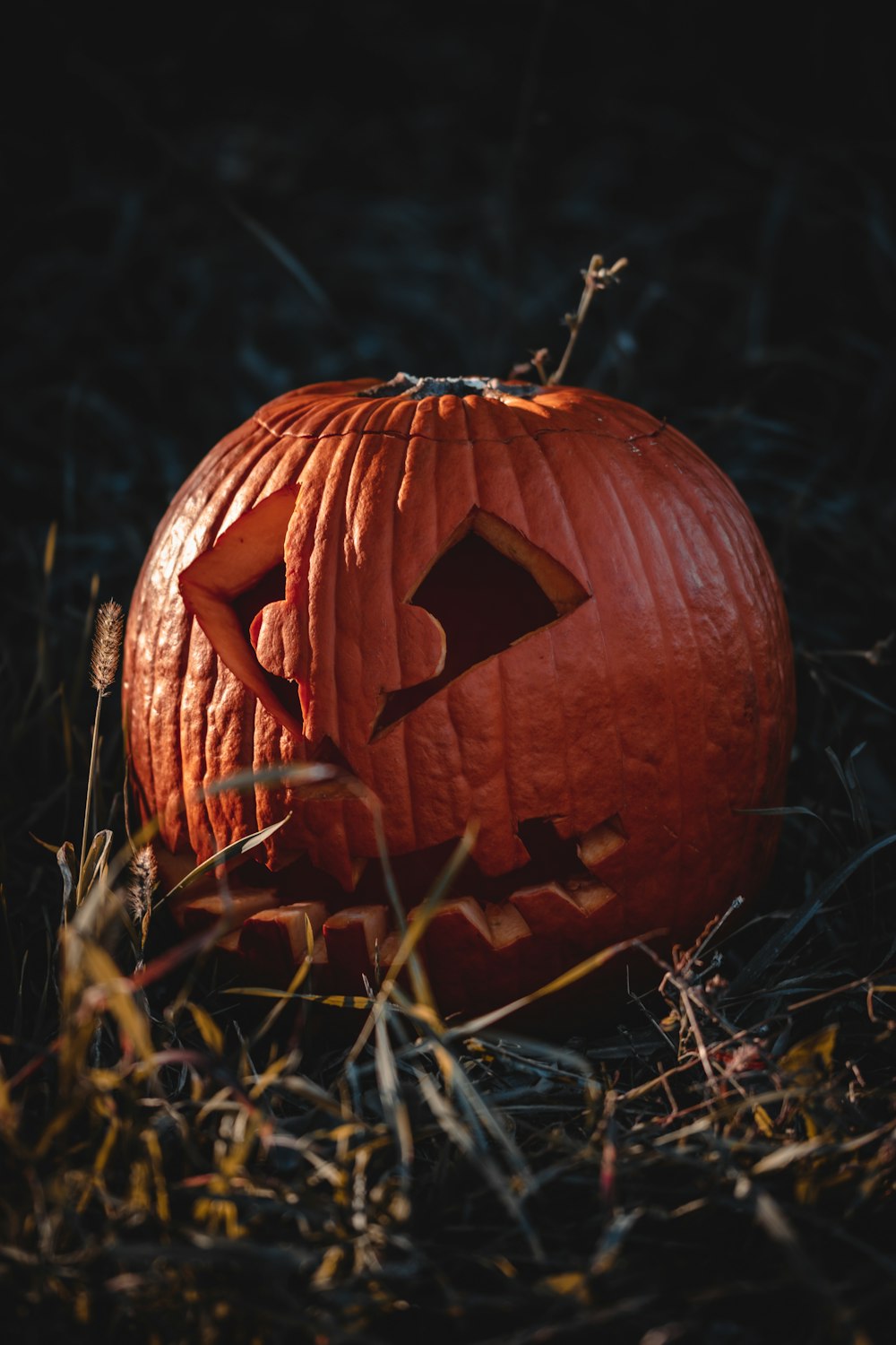 a carved pumpkin sitting in the grass