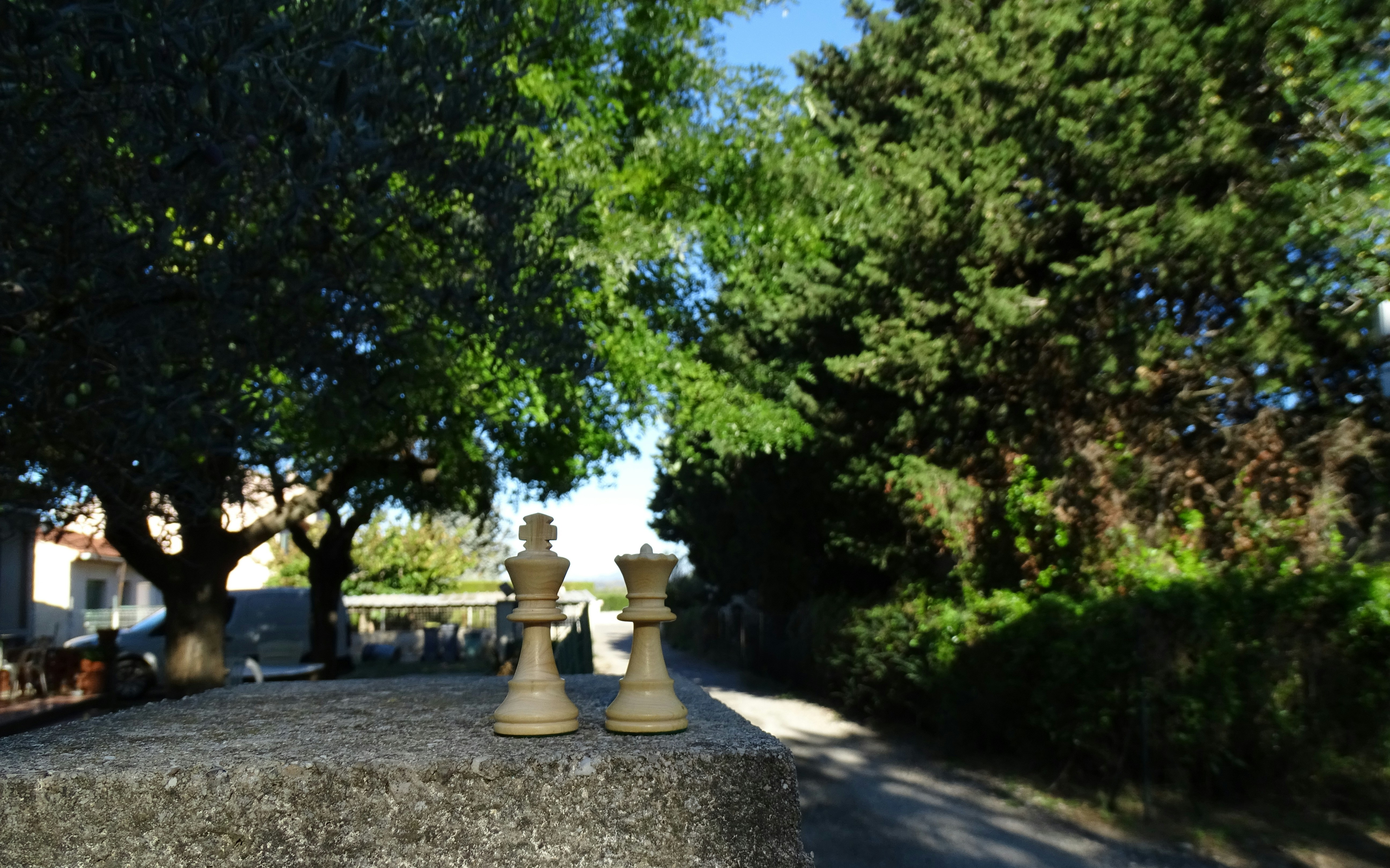 Temple Chess & Poetry Garden