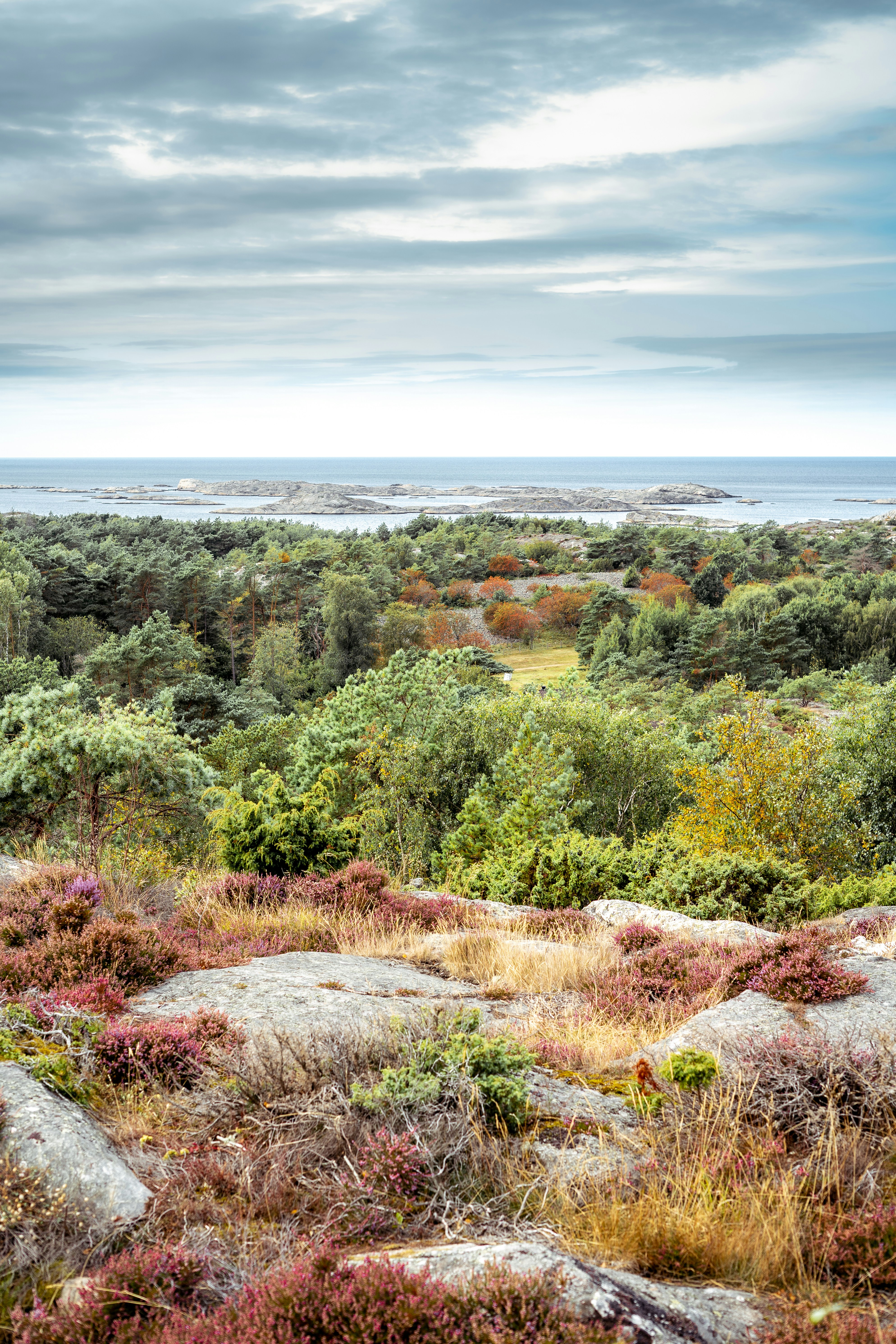 a bench sitting on top of a lush green hillside