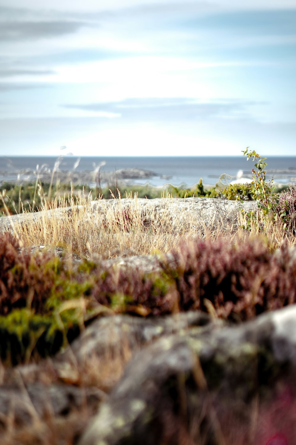 a view of the ocean from a rocky outcropping