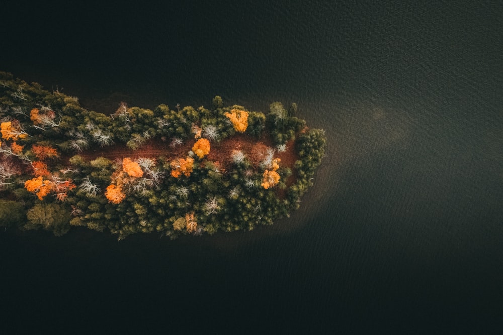 an aerial view of trees and water at night