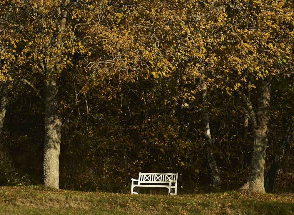 a white bench sitting in the middle of a forest