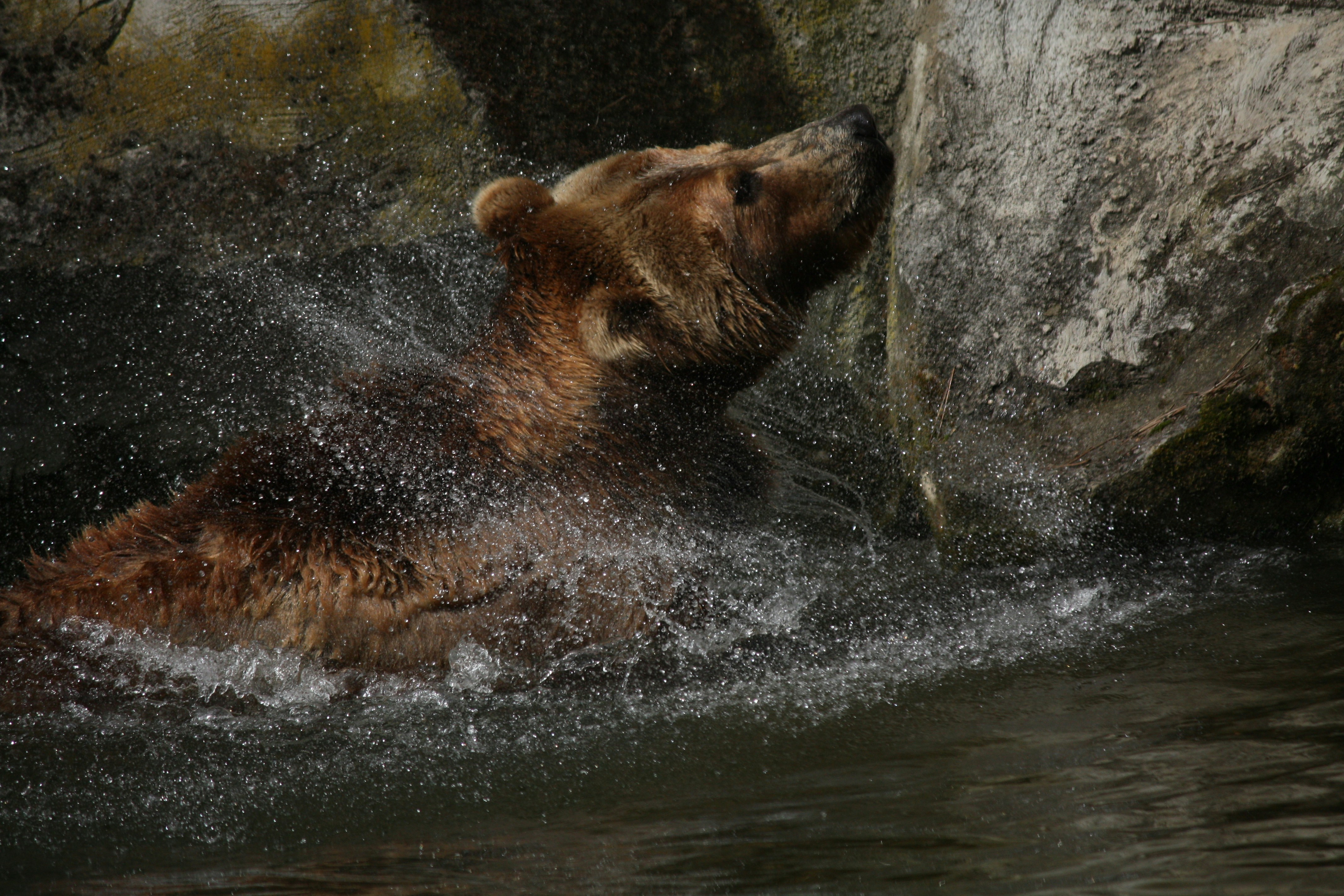 Bath- a place to wash worries away - serenity