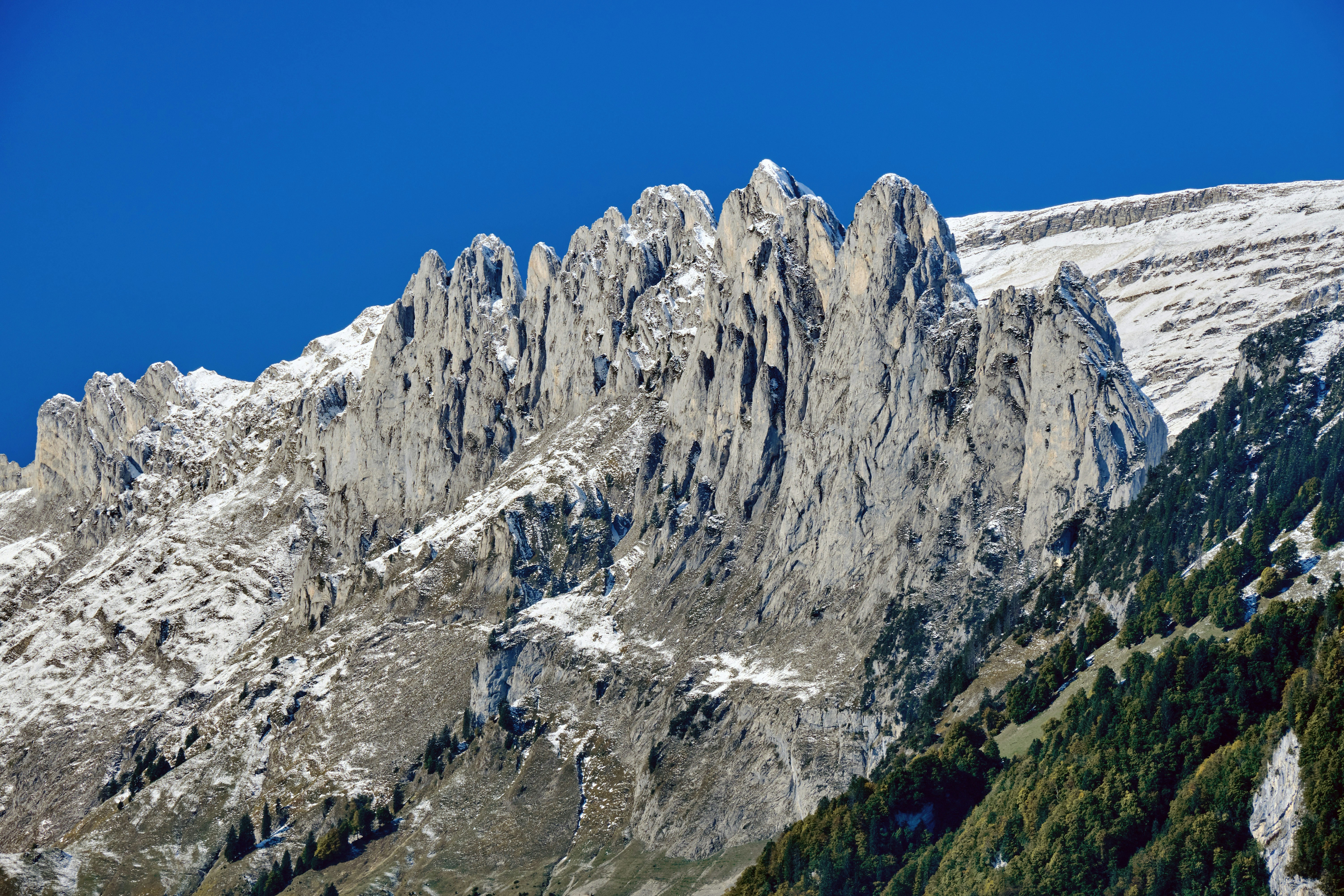 Photo by marcus_ganahl