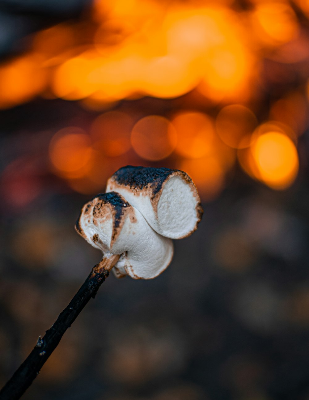 eine Nahaufnahme einer Blume mit verschwommenen Lichtern im Hintergrund