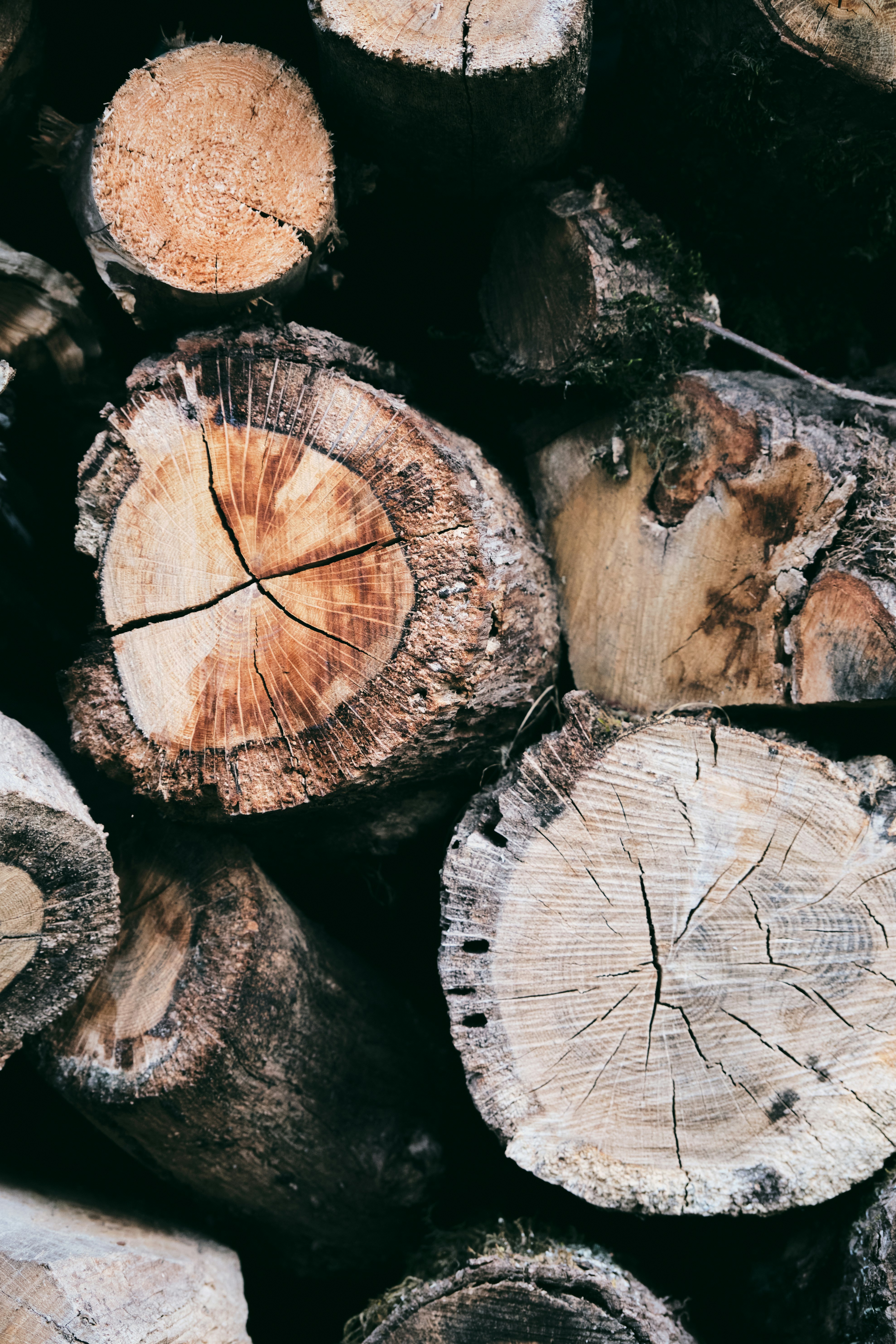 Photo by marcus_ganahl