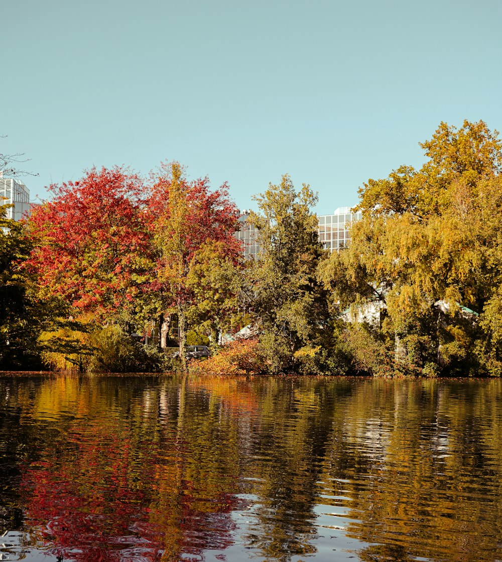 a body of water surrounded by trees and buildings