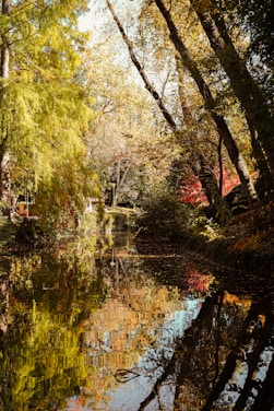 a small pond surrounded by trees in the fall