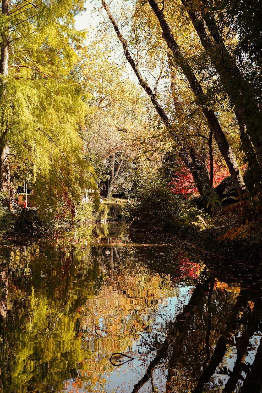 a small pond surrounded by trees in the fall