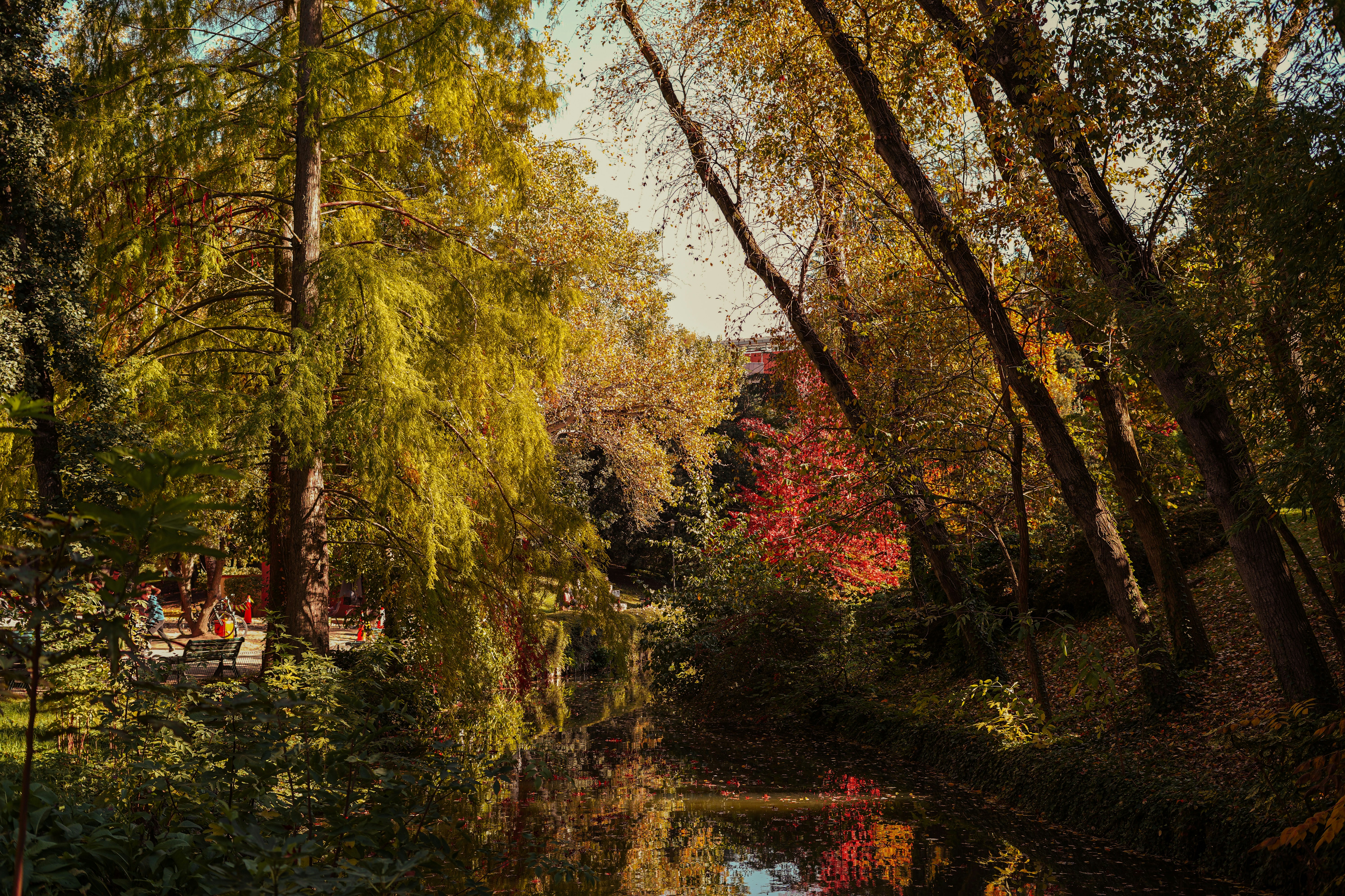 Photo by baptistebuiss