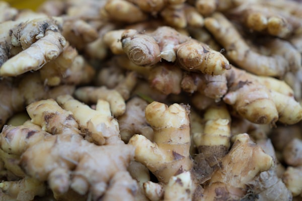 Fresh ginger roots close-up