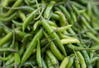 Close-up of vibrant green chilies freshly harvested and ready for market.