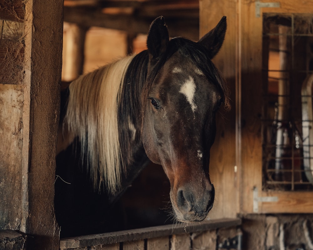 a brown horse standing inside of a stable