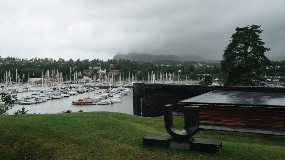 a large body of water filled with lots of boats