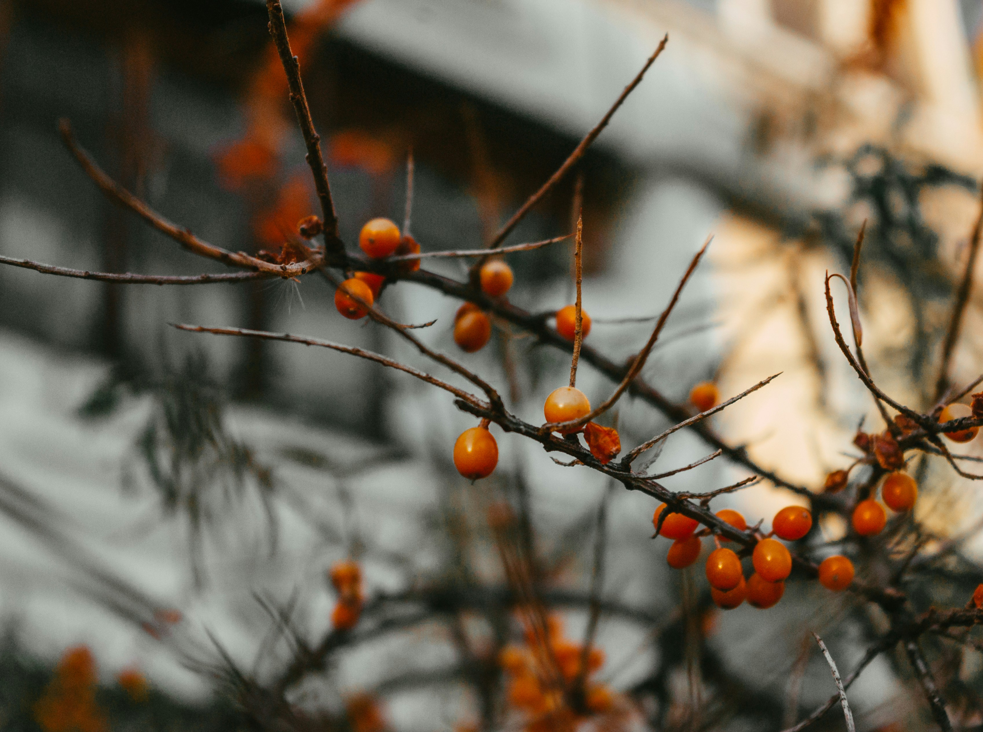 Photo by moonmoons_days